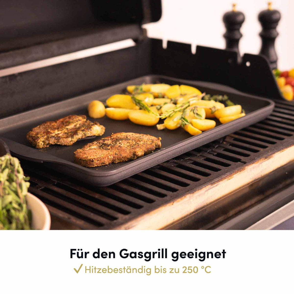 Teppanyakiplatte Grillplatte Plancha Aluguss 49x29 cm